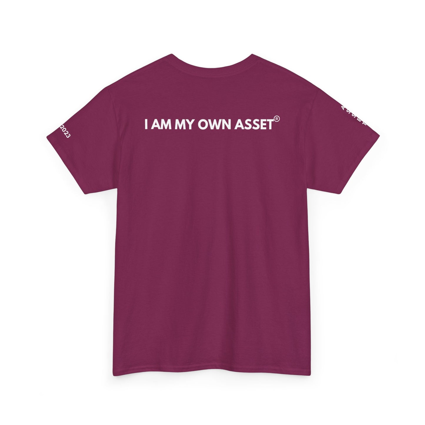 Empowering Statement Tee - I AM THE ASSET, Unisex Cotton Shirt for Motivation, Gift for Entrepreneurs, Casual Wear