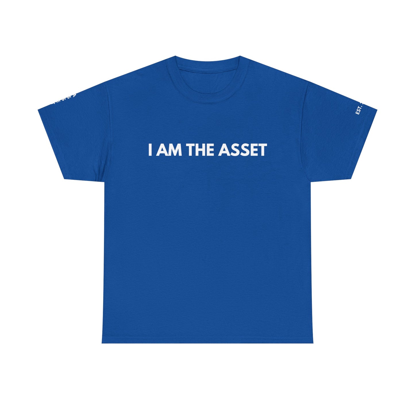 Empowering Statement Tee - I AM THE ASSET, Unisex Cotton Shirt for Motivation, Gift for Entrepreneurs, Casual Wear