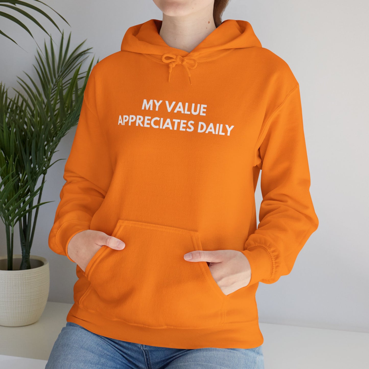 Motivational Hooded Sweatshirt - My Value Appreciates Daily, Cozy Hoodie, Inspirational Sweatshirt, Gift for Him/Her, Casual Wear