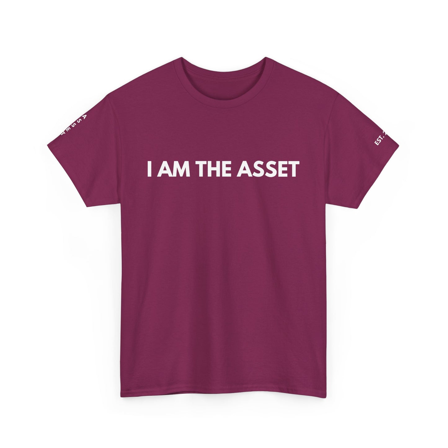 Empowering Statement Tee - I AM THE ASSET, Unisex Cotton Shirt for Motivation, Gift for Entrepreneurs, Casual Wear