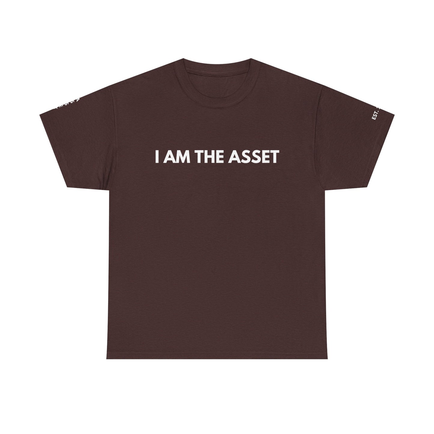 Empowering Statement Tee - I AM THE ASSET, Unisex Cotton Shirt for Motivation, Gift for Entrepreneurs, Casual Wear