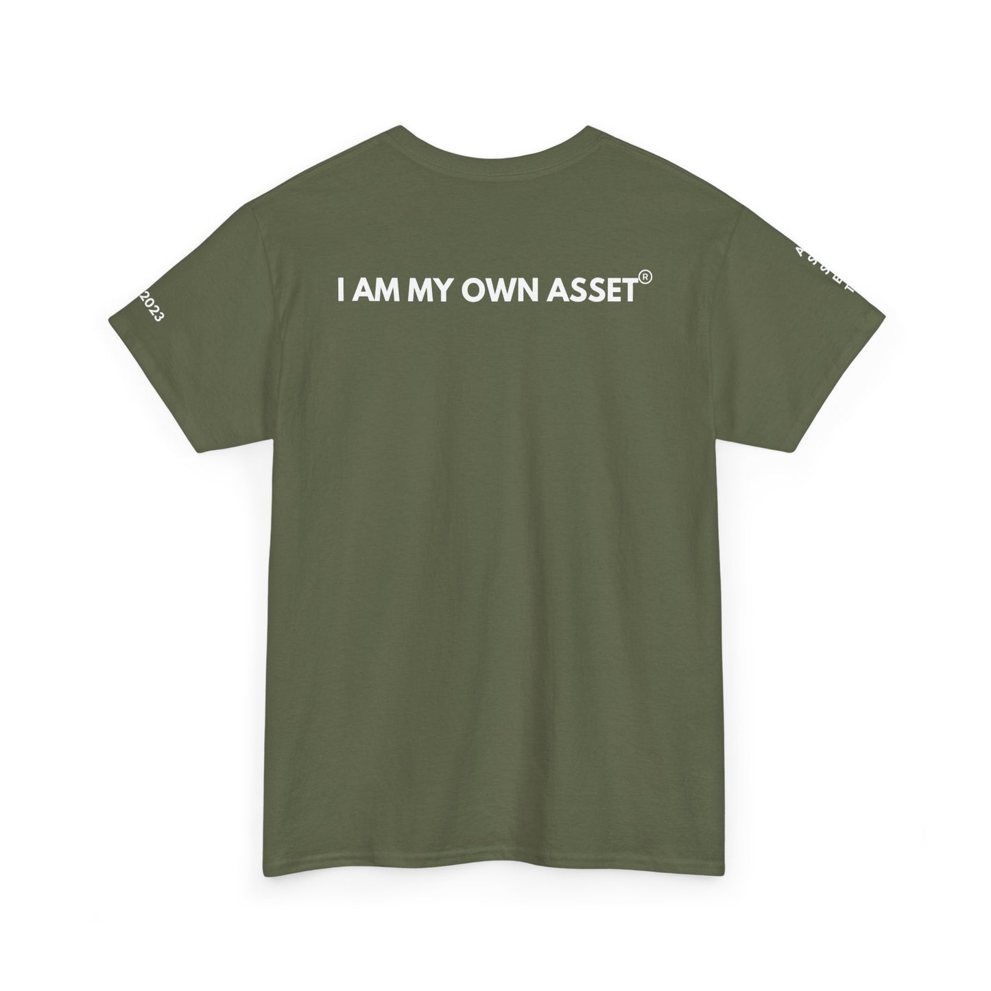 Empowering Statement Tee - I AM THE ASSET, Unisex Cotton Shirt for Motivation, Gift for Entrepreneurs, Casual Wear