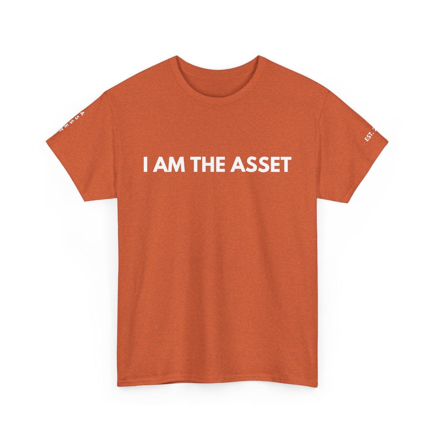 Empowering Statement Tee - I AM THE ASSET, Unisex Cotton Shirt for Motivation, Gift for Entrepreneurs, Casual Wear