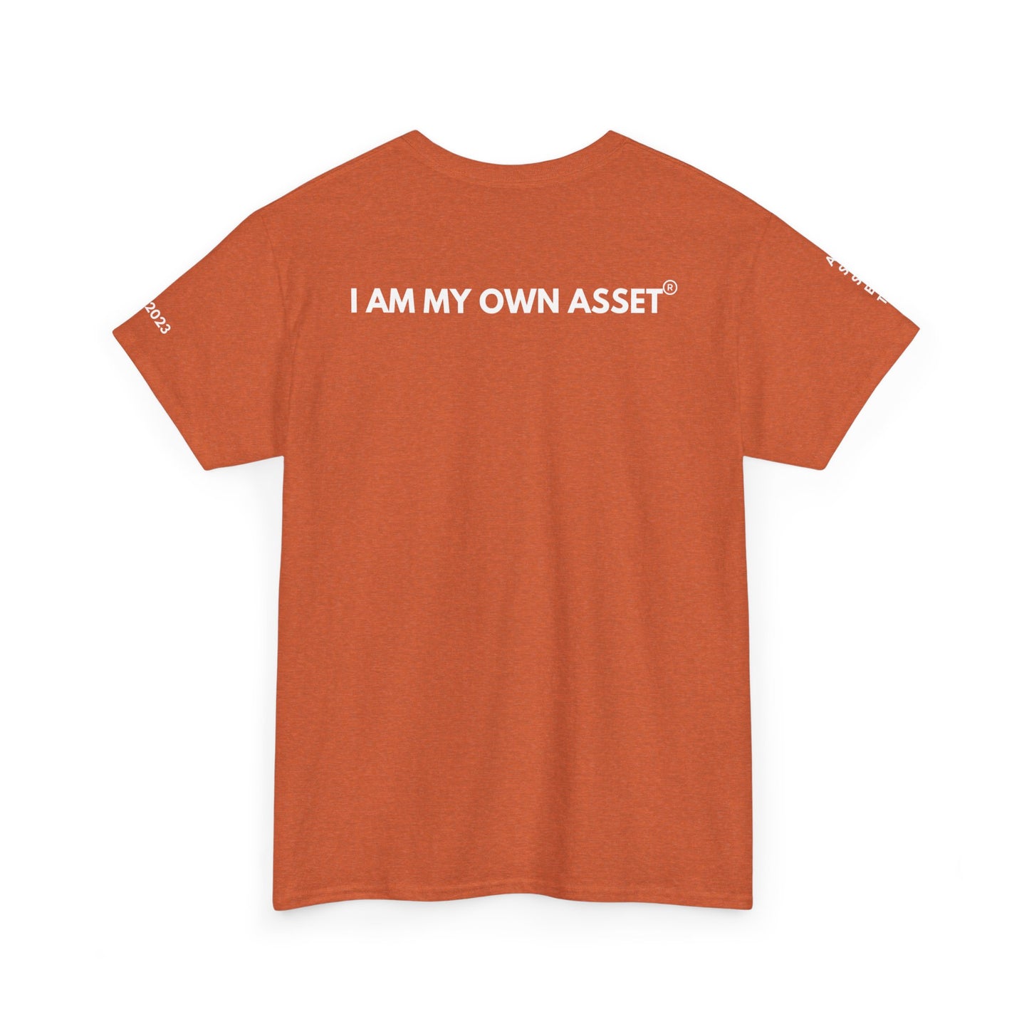 Empowering Statement Tee - I AM THE ASSET, Unisex Cotton Shirt for Motivation, Gift for Entrepreneurs, Casual Wear