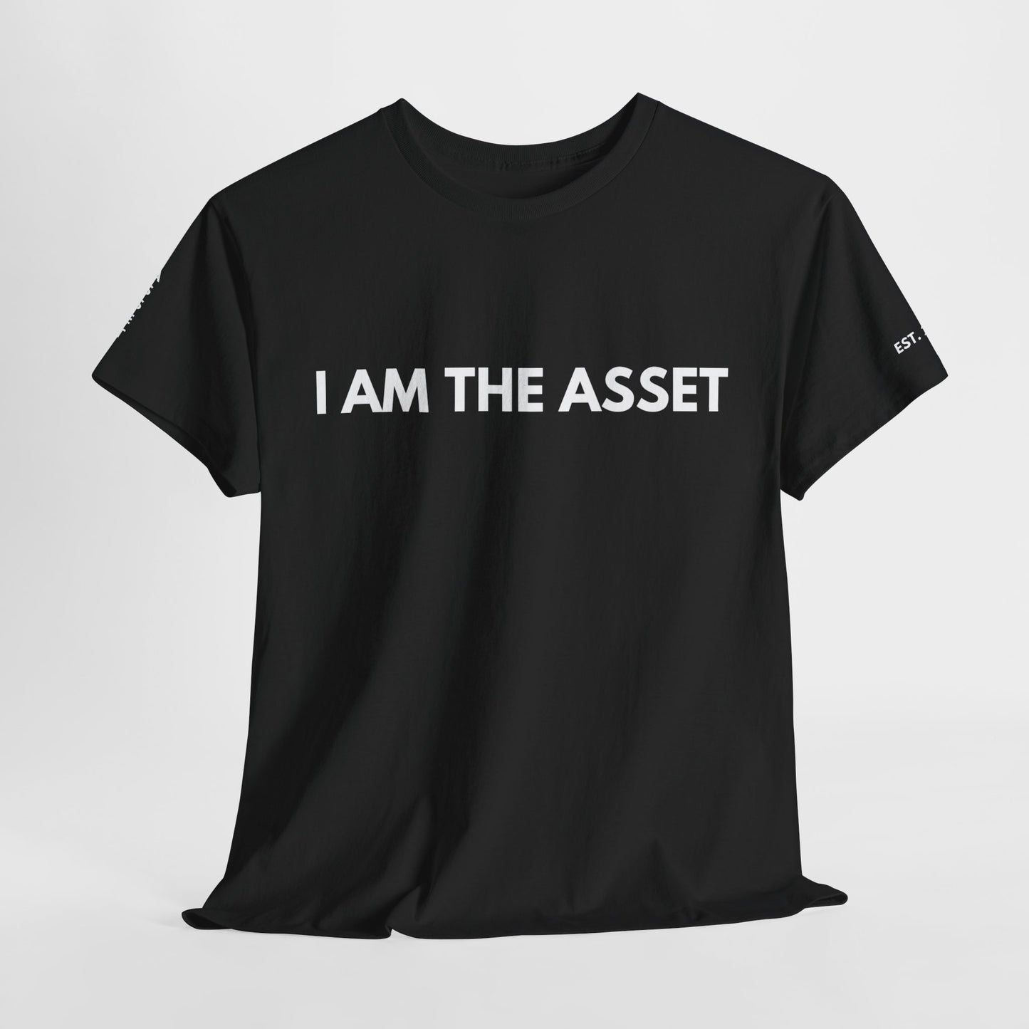 Empowering Statement Tee - I AM THE ASSET, Unisex Cotton Shirt for Motivation, Gift for Entrepreneurs, Casual Wear