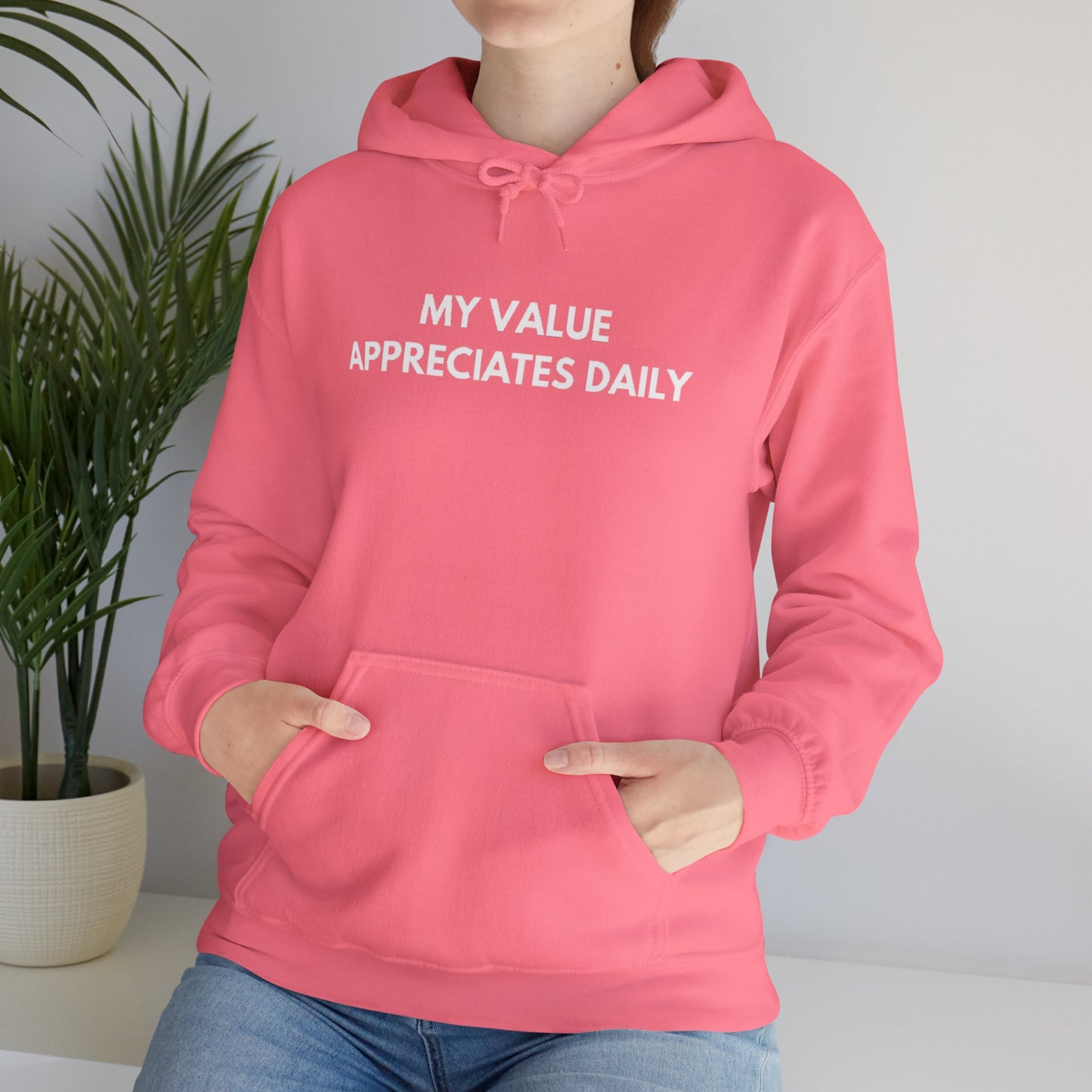 Motivational Hooded Sweatshirt - My Value Appreciates Daily, Cozy Hoodie, Inspirational Sweatshirt, Gift for Him/Her, Casual Wear