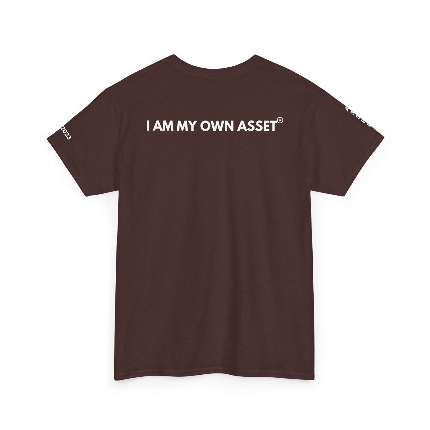 Empowering Statement Tee - I AM THE ASSET, Unisex Cotton Shirt for Motivation, Gift for Entrepreneurs, Casual Wear