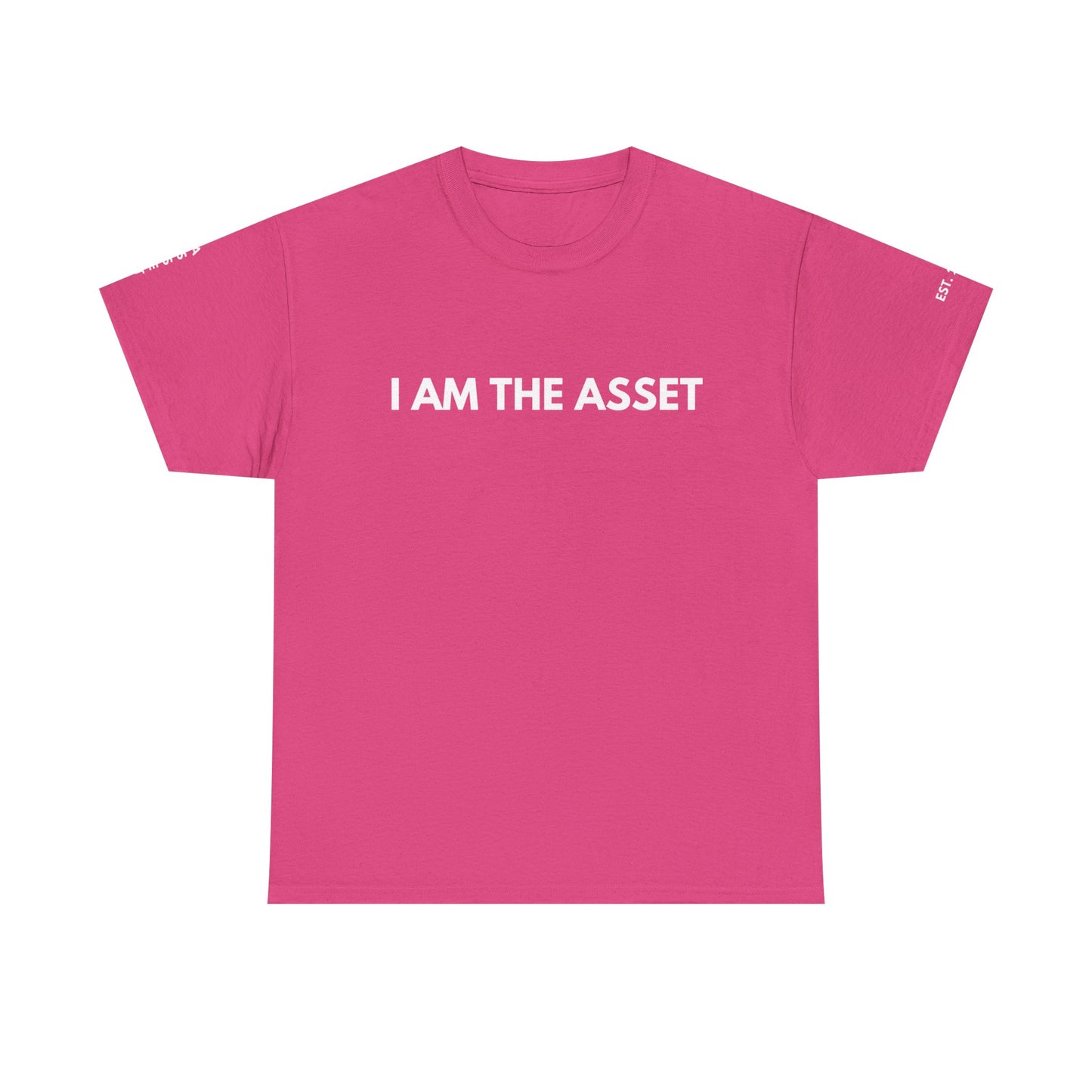 Empowering Statement Tee - I AM THE ASSET, Unisex Cotton Shirt for Motivation, Gift for Entrepreneurs, Casual Wear