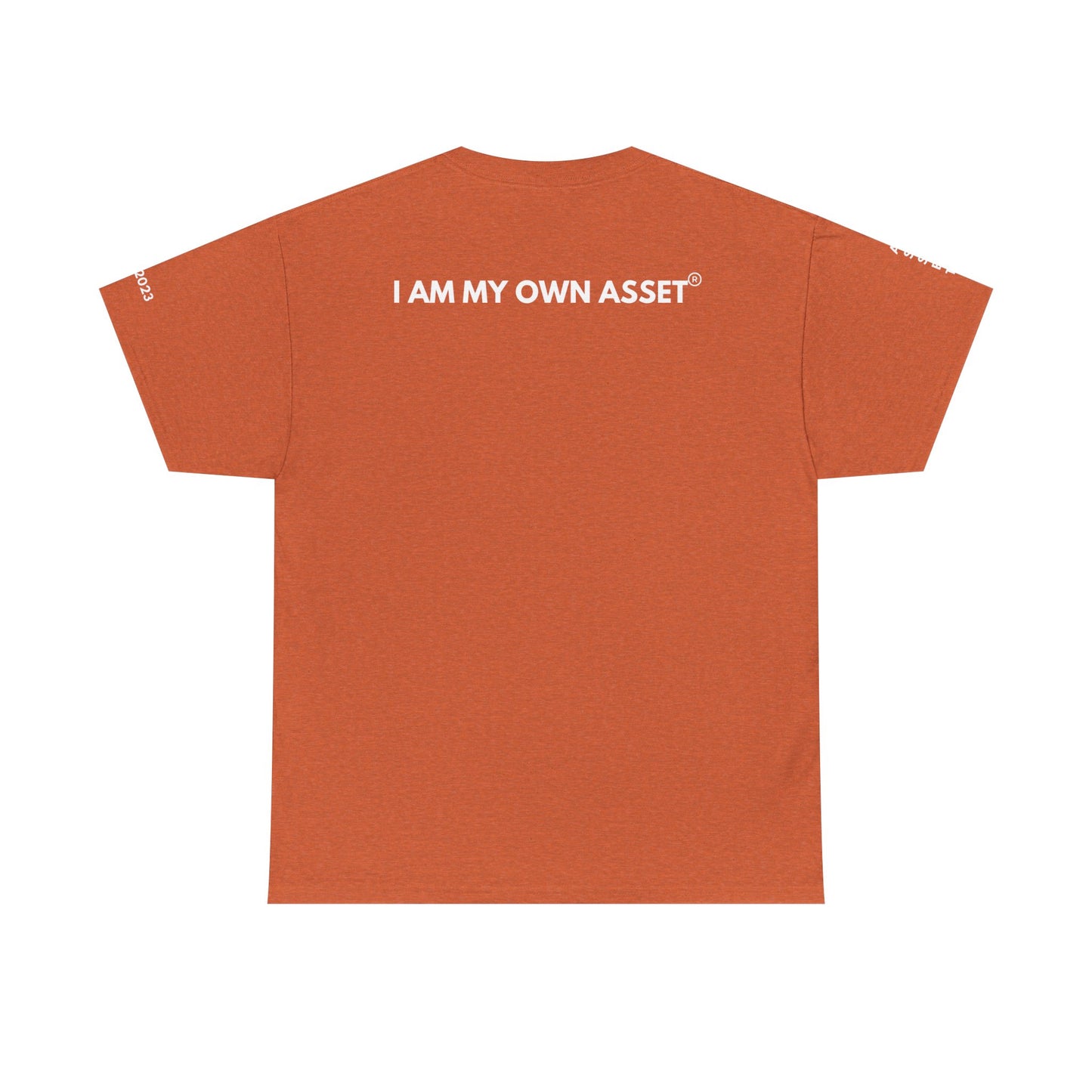 Empowering Statement Tee - I AM THE ASSET, Unisex Cotton Shirt for Motivation, Gift for Entrepreneurs, Casual Wear