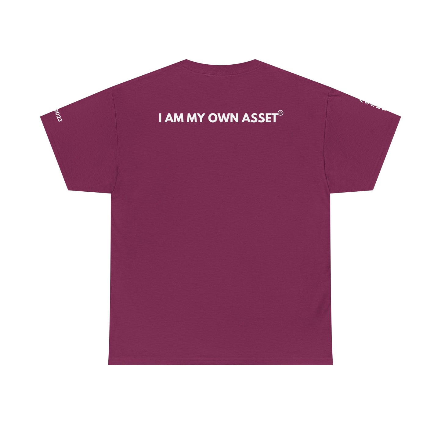 Empowering Statement Tee - I AM THE ASSET, Unisex Cotton Shirt for Motivation, Gift for Entrepreneurs, Casual Wear