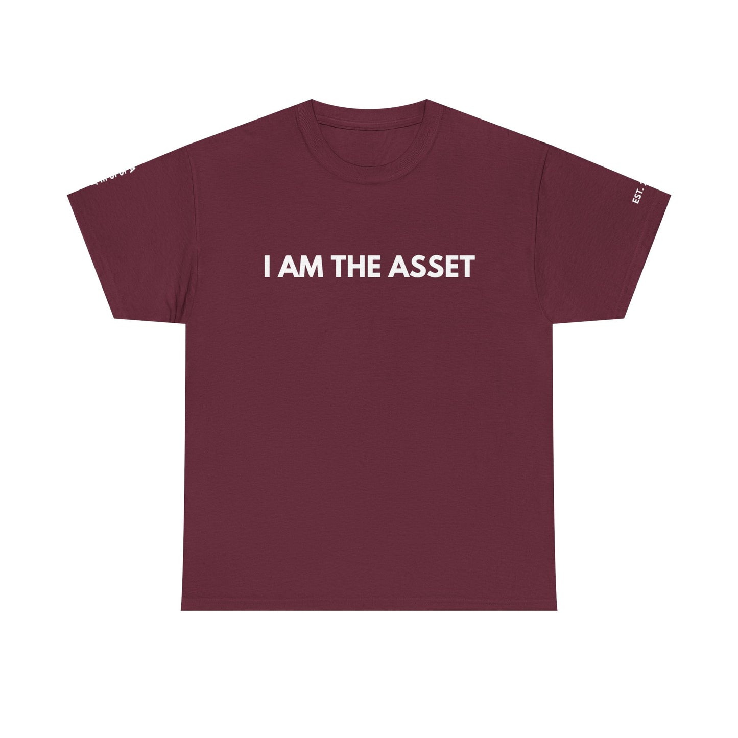 Empowering Statement Tee - I AM THE ASSET, Unisex Cotton Shirt for Motivation, Gift for Entrepreneurs, Casual Wear