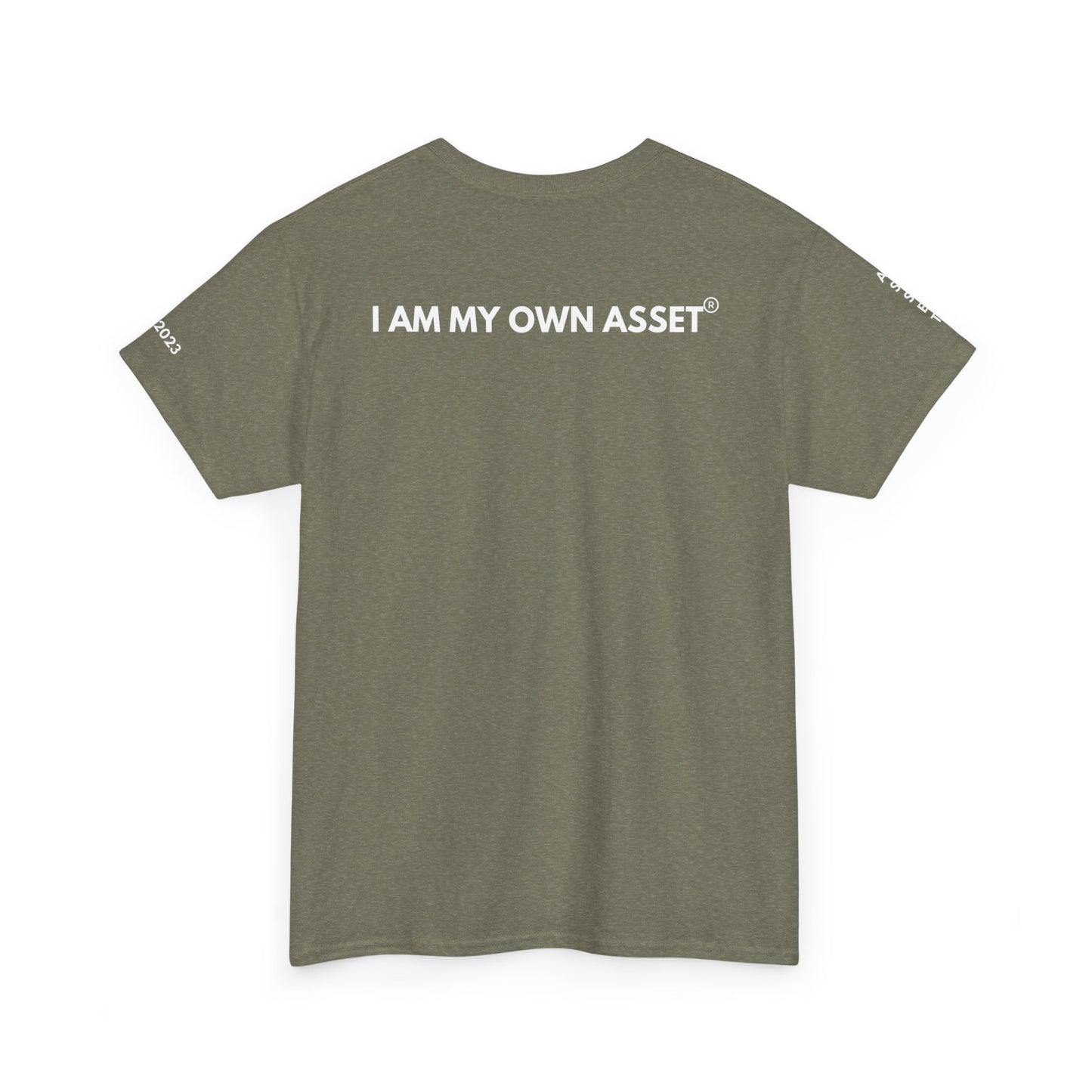 Empowering Statement Tee - I AM THE ASSET, Unisex Cotton Shirt for Motivation, Gift for Entrepreneurs, Casual Wear