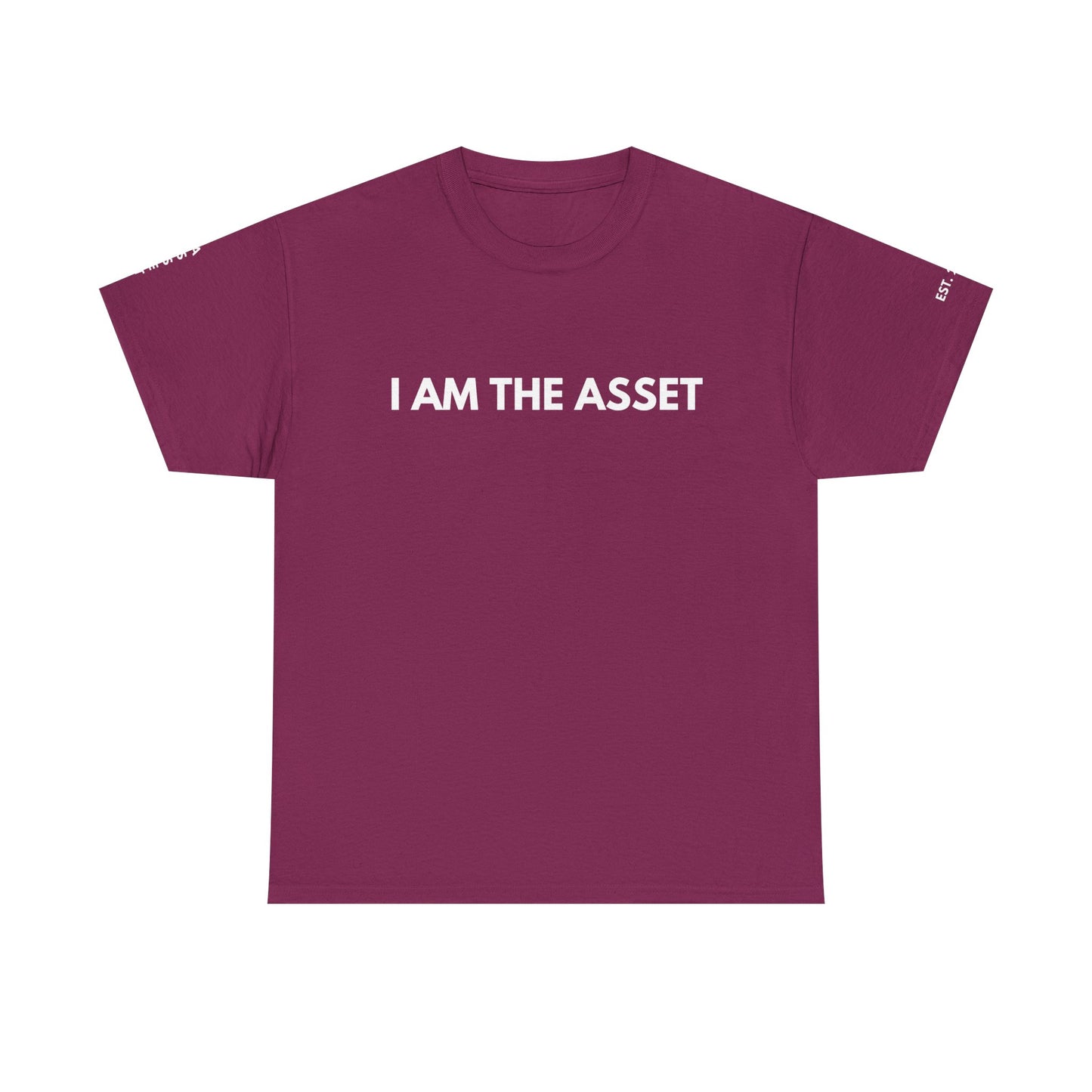 Empowering Statement Tee - I AM THE ASSET, Unisex Cotton Shirt for Motivation, Gift for Entrepreneurs, Casual Wear
