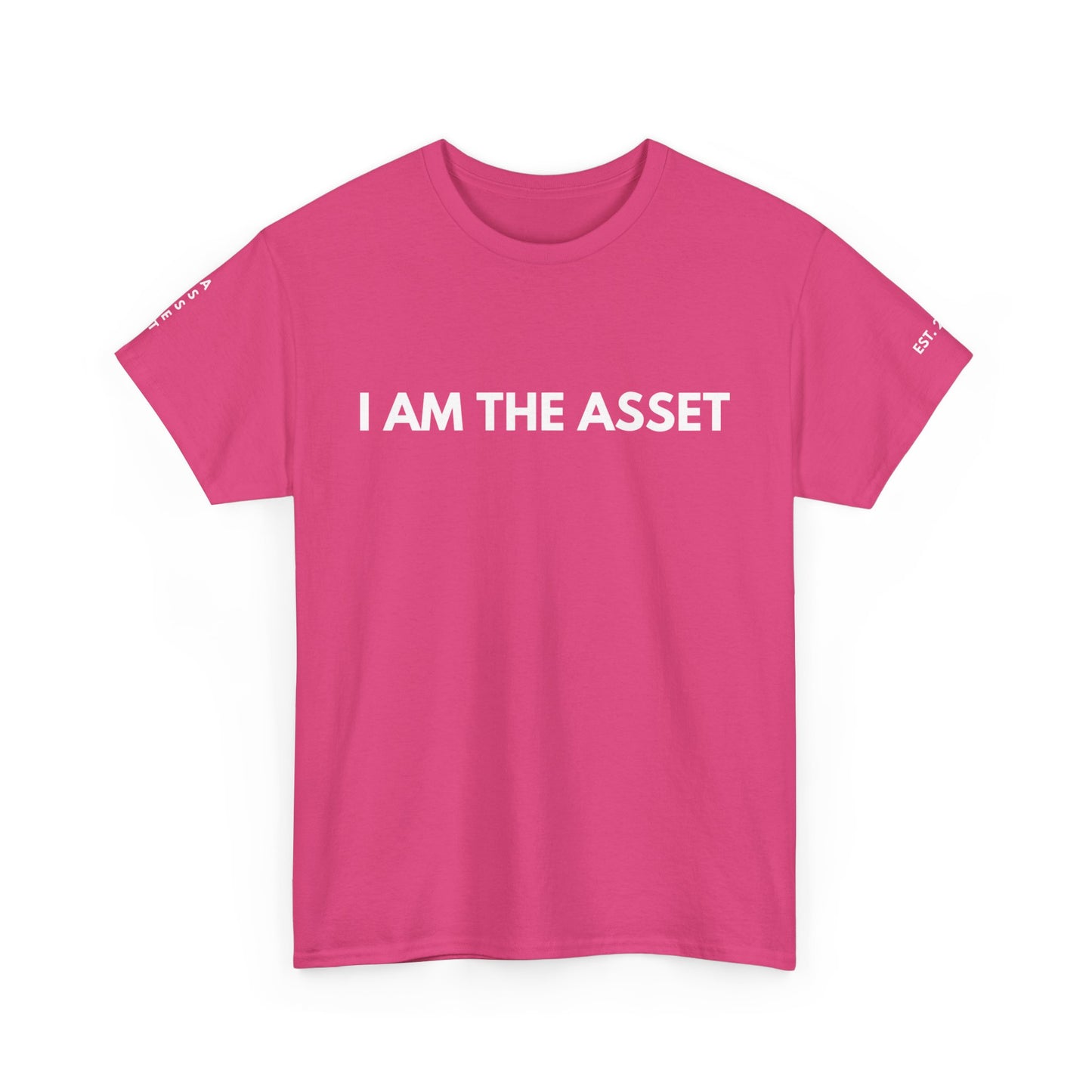 Empowering Statement Tee - I AM THE ASSET, Unisex Cotton Shirt for Motivation, Gift for Entrepreneurs, Casual Wear