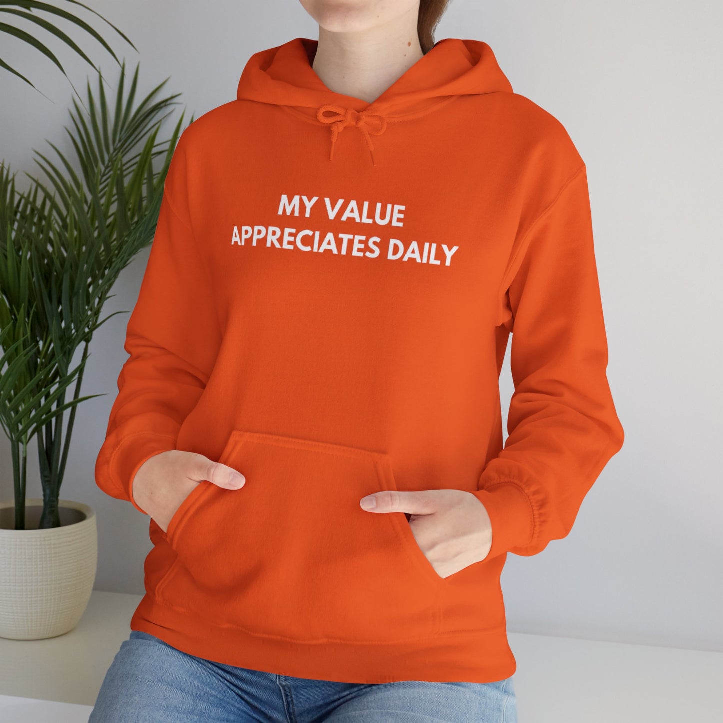 Motivational Hooded Sweatshirt - My Value Appreciates Daily, Cozy Hoodie, Inspirational Sweatshirt, Gift for Him/Her, Casual Wear