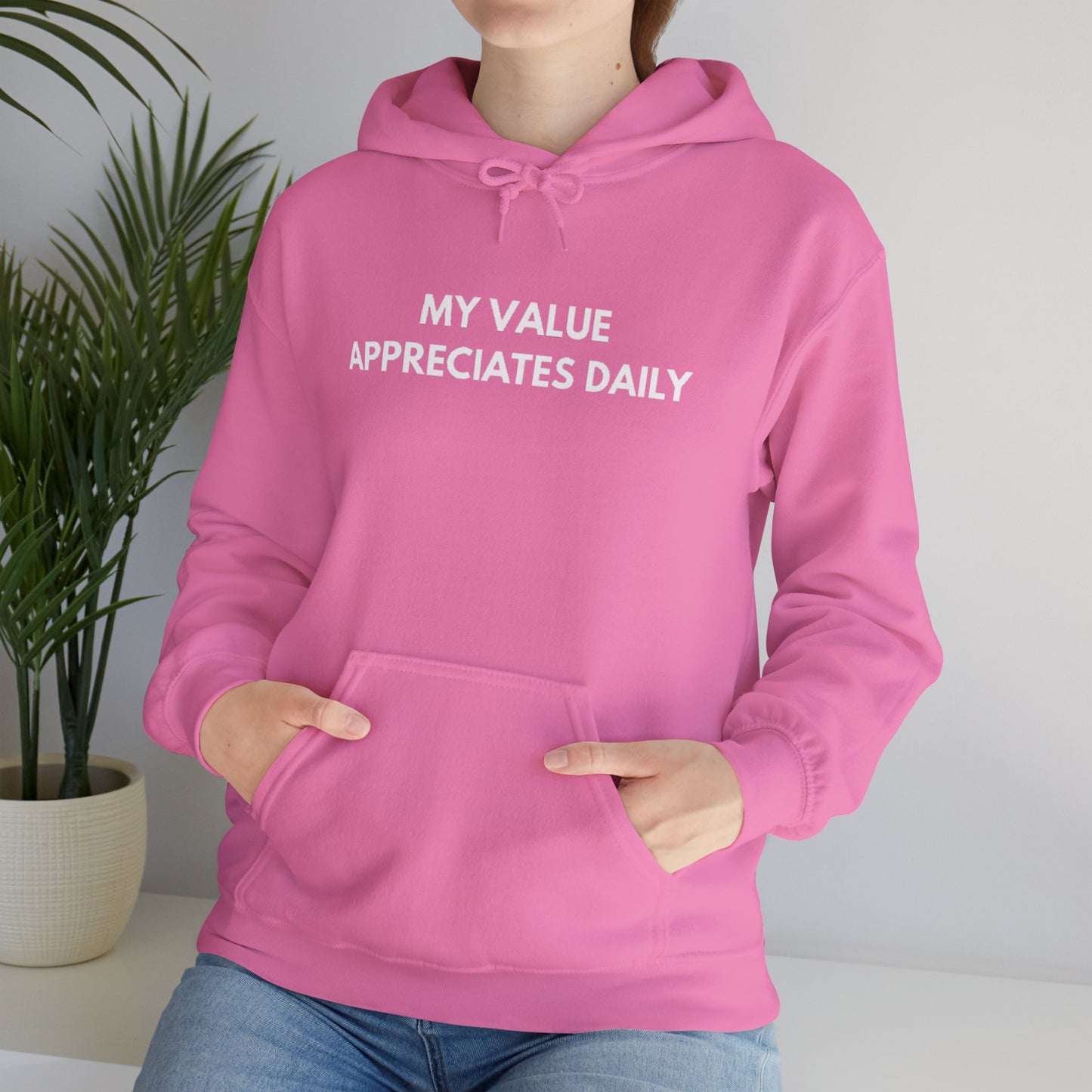 Motivational Hooded Sweatshirt - My Value Appreciates Daily, Cozy Hoodie, Inspirational Sweatshirt, Gift for Him/Her, Casual Wear