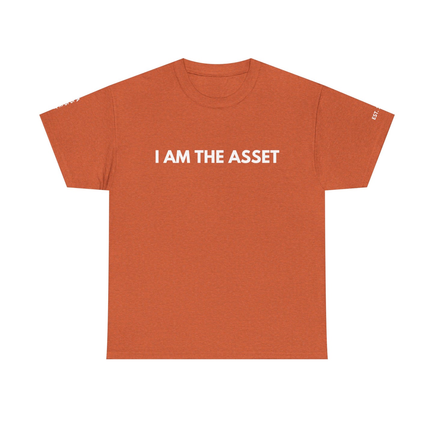 Empowering Statement Tee - I AM THE ASSET, Unisex Cotton Shirt for Motivation, Gift for Entrepreneurs, Casual Wear
