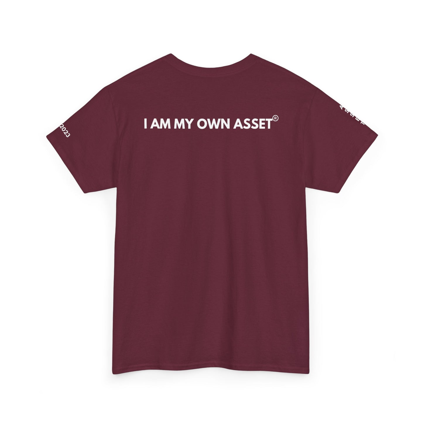 Empowering Statement Tee - I AM THE ASSET, Unisex Cotton Shirt for Motivation, Gift for Entrepreneurs, Casual Wear