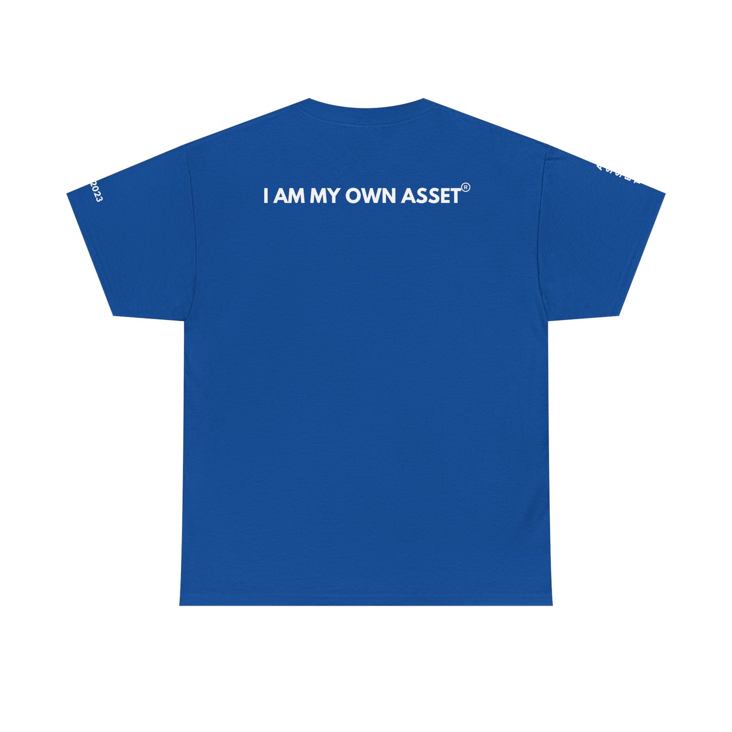 Empowering Statement Tee - I AM THE ASSET, Unisex Cotton Shirt for Motivation, Gift for Entrepreneurs, Casual Wear