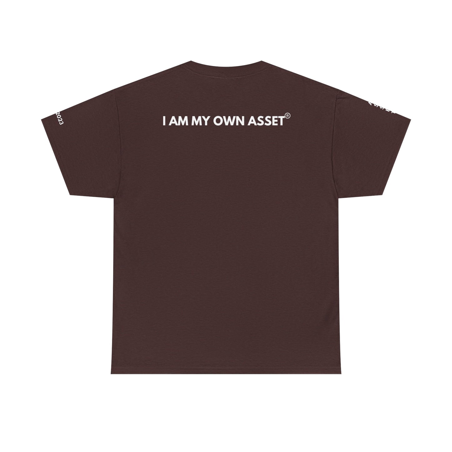 Empowering Statement Tee - I AM THE ASSET, Unisex Cotton Shirt for Motivation, Gift for Entrepreneurs, Casual Wear