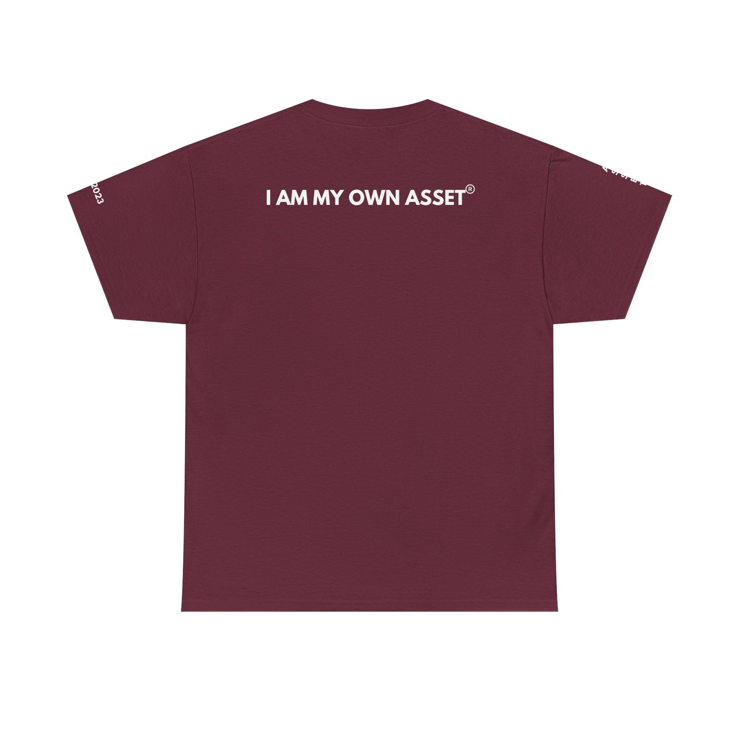 Empowering Statement Tee - I AM THE ASSET, Unisex Cotton Shirt for Motivation, Gift for Entrepreneurs, Casual Wear